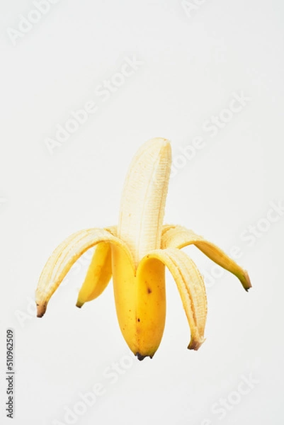 Obraz 本物のバナナ