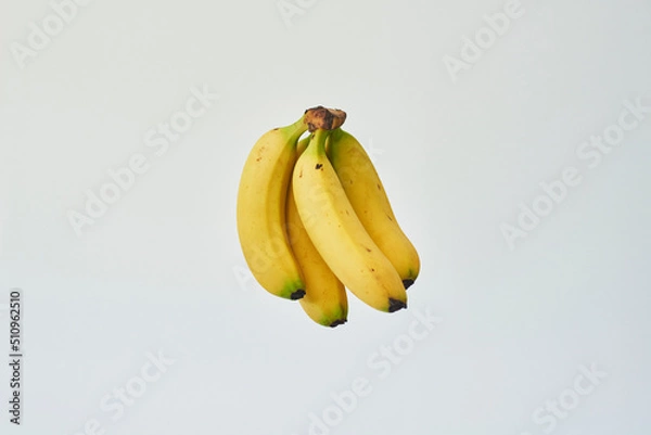 Obraz 本物のバナナ