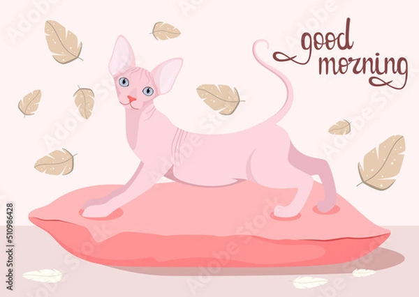 Obraz A sphinx cat on a pillow. Postcard. Good morning. Cartoon design.
