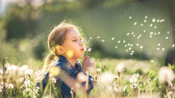 Obraz cute little girl blowing dandelions in a sunny flower meadow . Summer seasonal outdoor activities for children. The child smiles and enjoys summer fun