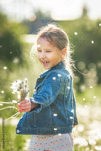 Fototapeta cute little girl blowing dandelions in a sunny flower meadow . Summer seasonal outdoor activities for children. The child laughs and enjoys summer fun