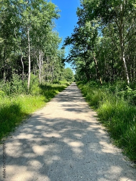 Fototapeta Bois Notre-Dame