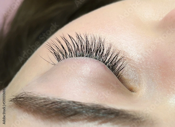 Fototapeta The procedure of classical eyelash extension. Eyelash extension close-up