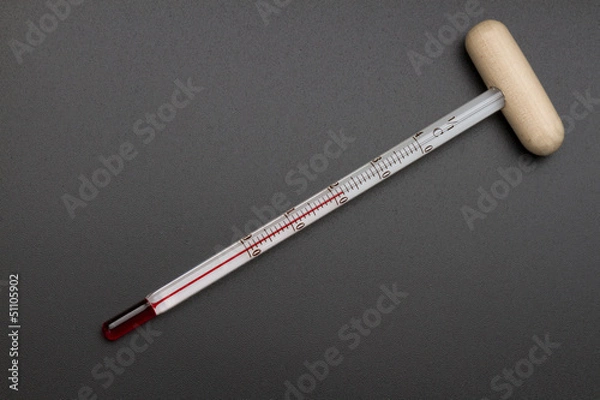 Obraz wine thermometer