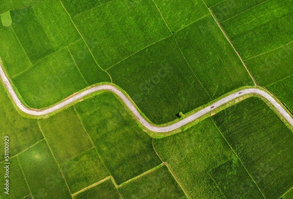 Obraz A zigzagging road meandering through lush green paddy fields, creating a stunning tapestry of nature's beauty amidst serene rural countryside. 