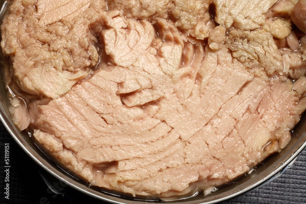 Obraz tinned tuna