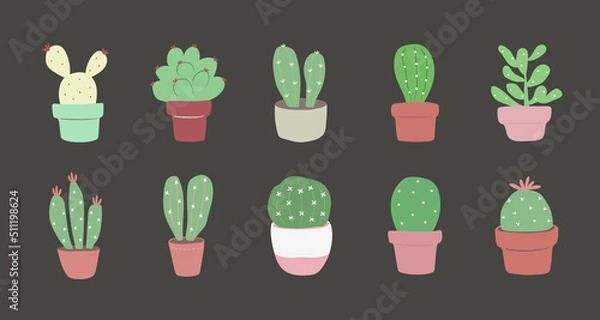 Fototapeta set of cactus