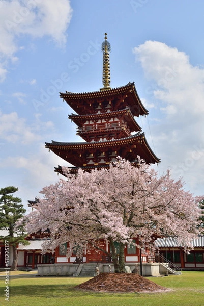 Obraz 薬師寺西塔　春陽