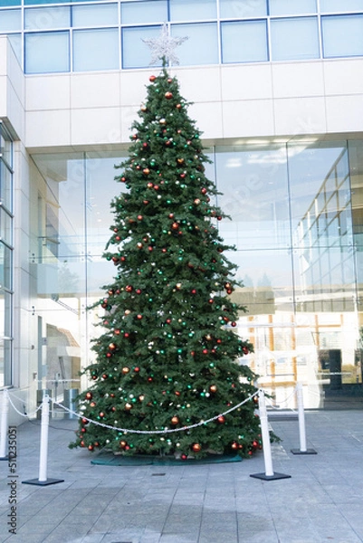 Obraz decorated christmas tree