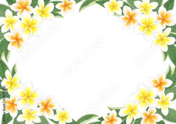Obraz 花の水彩イラストフレーム　プルメリア