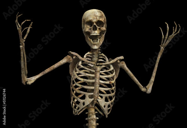 Fototapeta The Skeletal Scream