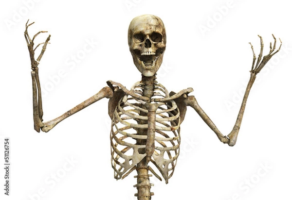 Obraz The Skeletal Scream