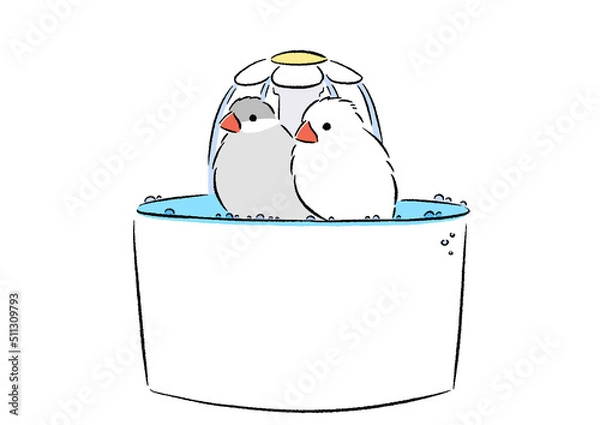 Fototapeta フラワーファウンテンで水浴びする文鳥