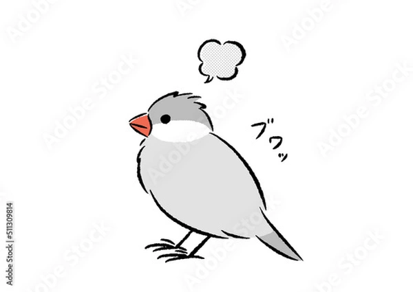 Fototapeta おこる文鳥