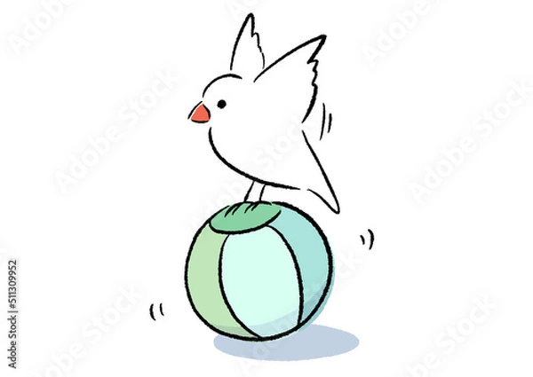 Fototapeta おもちゃで遊ぶ文鳥