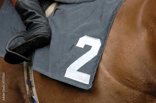 Obraz Startnummer zwei