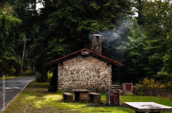 Obraz Cooking in a dream