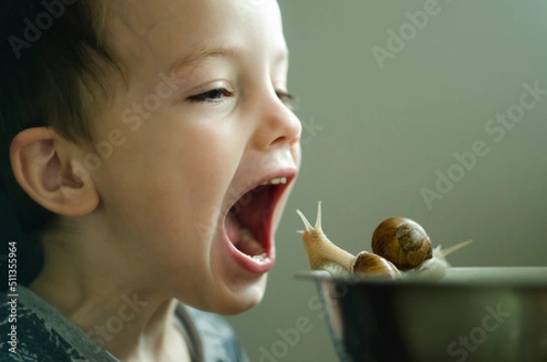 Fototapeta The little boy opened his mouth in front of the snails. Baby food. Veganism. Raising children and treating animals