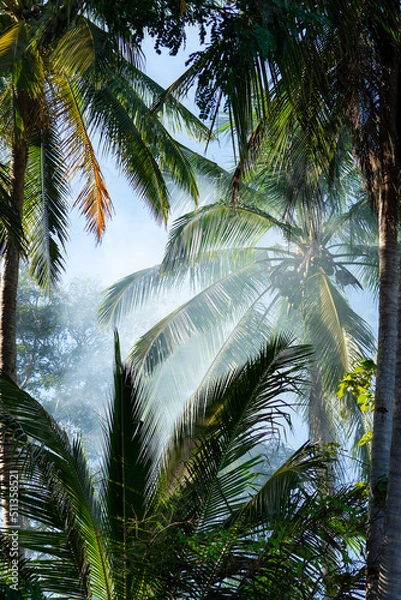 Fototapeta Green palm trees in smoke against the blue sky of the Philippines