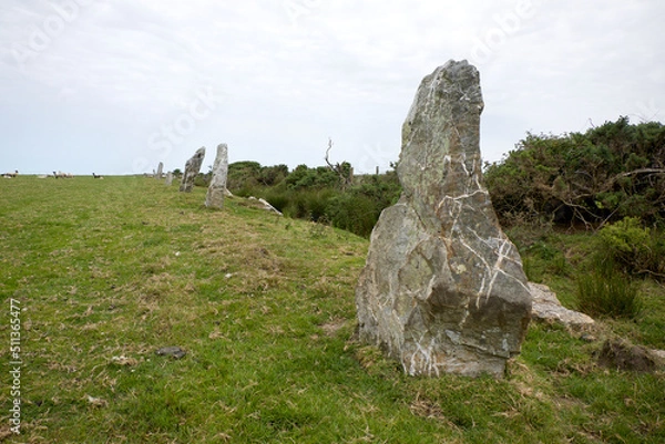 Fototapeta Nine Maidens stone row Cornwall all the stones are of quartz the north-eastern stone is prostrate and broken it measures 15 feet in length the tallest of those still standing is 6 feet 7 inches high 