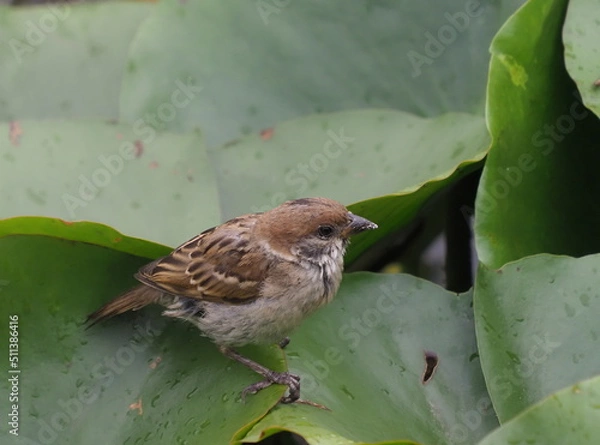 Obraz OLYMPUS DIGITAL CAMERA