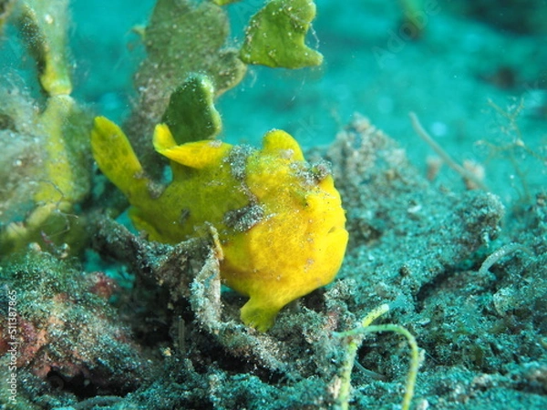 Obraz OLYMPUS DIGITAL CAMERA