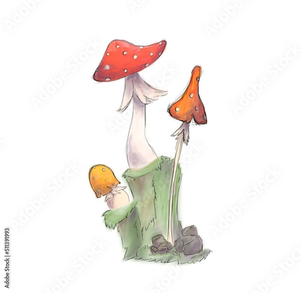 Fototapeta Mushroom