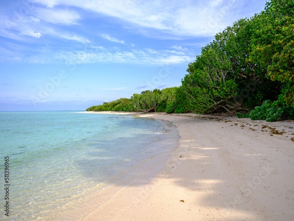 Fototapeta コンドイビーチ