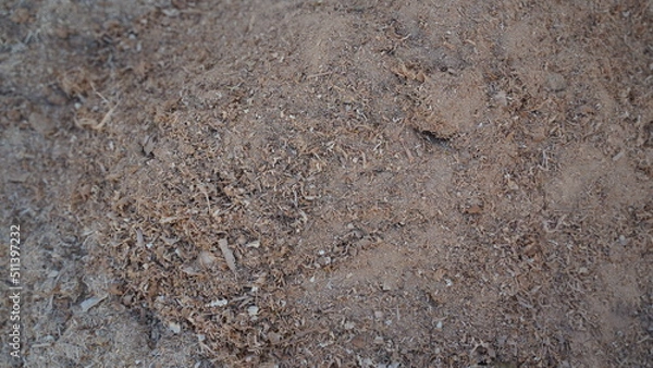 Fototapeta light colored sawdust texture