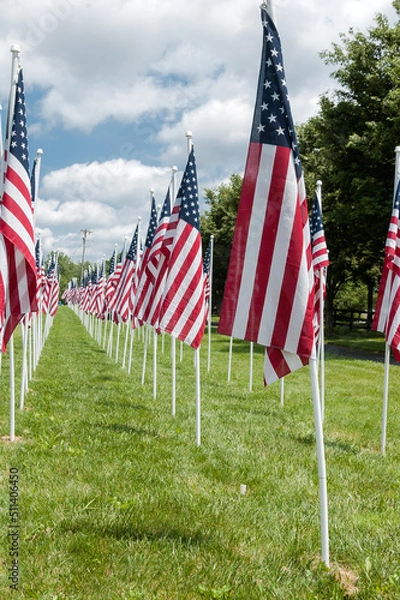 Obraz American flags displaying on Memorial Day