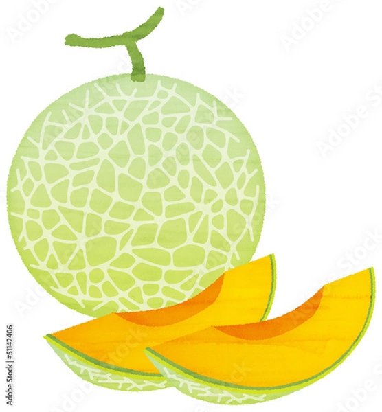 Obraz 水彩風のメロン