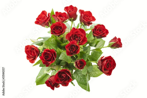 Fototapeta Red Roses