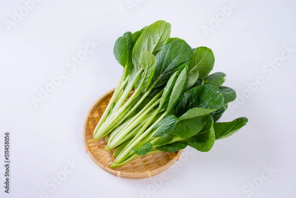 Obraz 無農薬野菜　小松菜