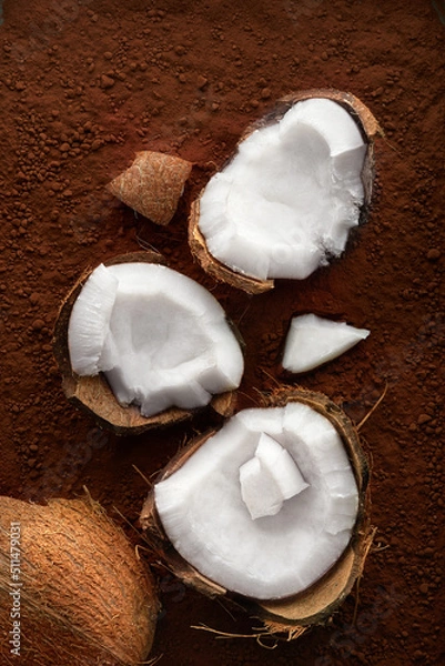 Fototapeta Coconut on a cocoa background viewed from above. Top view
