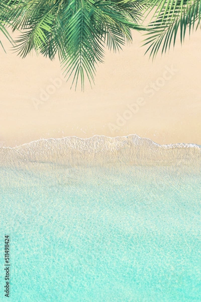 Fototapeta Top and aerial view on tropical sand beach, palm tree and sea. Ocean coastline. Drone photo. Background. Copy space. Vertical