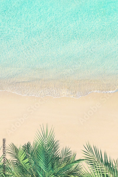 Fototapeta Top and aerial view on tropical sand beach with SUP board for surfing on the shore, palm tree and sea. Ocean coastline. Drone photo. Background. Copy space. vertical