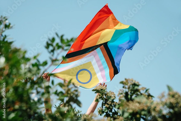 Obraz shows an intersex-inclusive progress pride flag