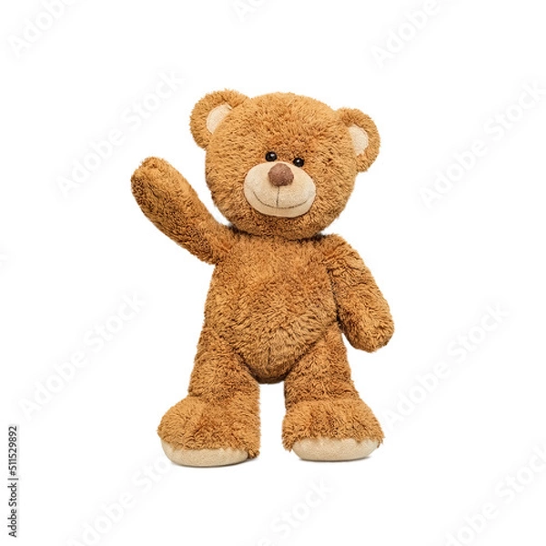 Obraz Cute teddy Cute teddy bear isolated on white background.