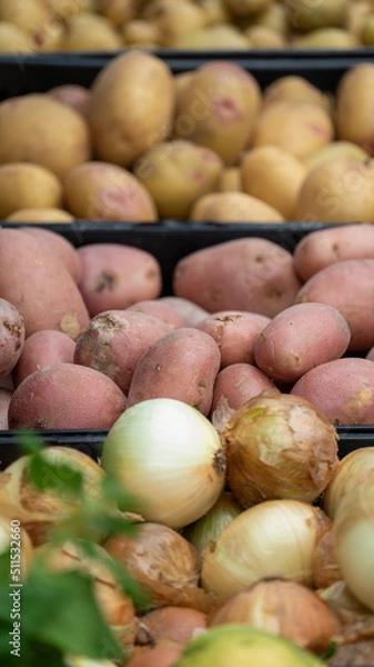 Fototapeta batata cebola