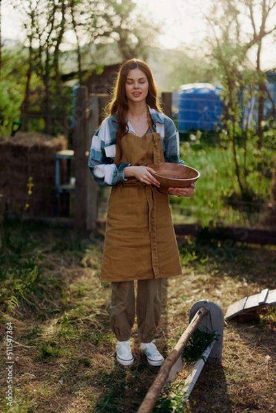 Fototapeta A beautiful woman works on a farm and pours fresh food from a bowl and feeds the chickens and makes sure the food is clean and organic for the health of the faces and chickens on a summer sunny day