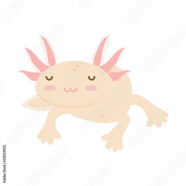 Fototapeta cartoon axolotl swimming