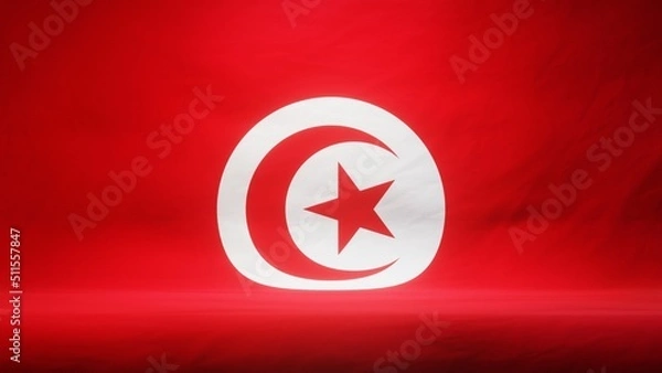 Obraz Studio backdrop with draped flag of Tunisia for presentation or product display. 3D rendering