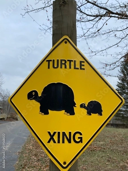 Fototapeta Turtle Crossing Sign against park background