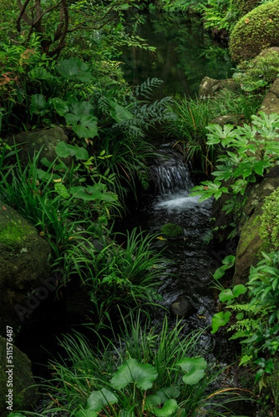 Fototapeta 日本庭園