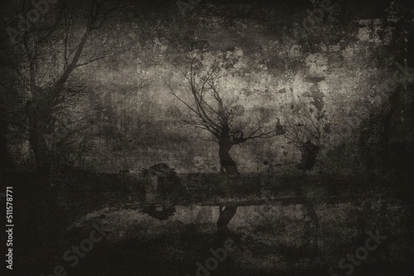 Fototapeta Dark landscape showing silhouettes of trees in the forest in black and white