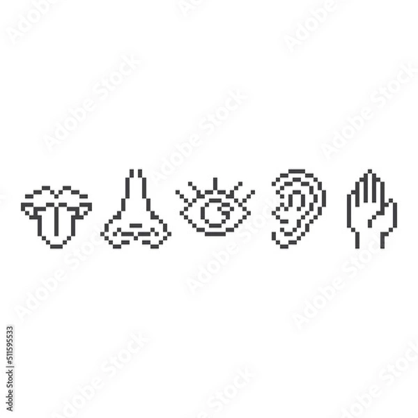 Fototapeta Five human senses. Elements taste, smell, vision, hear, touch . Pixel art line icon vector illustration