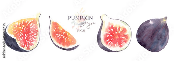 Obraz Watercolor autumn thanksgiving rustic fig single lfruit vegetable element isolated.Fall rustic flowers for wedding stationery, nursery decor, thanksgiving card, save the date, baby shower, diy element