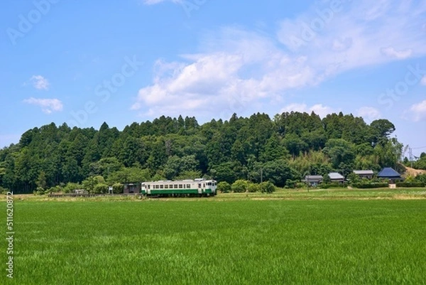Obraz 新緑の飯給駅とキハ40　小湊鉄道