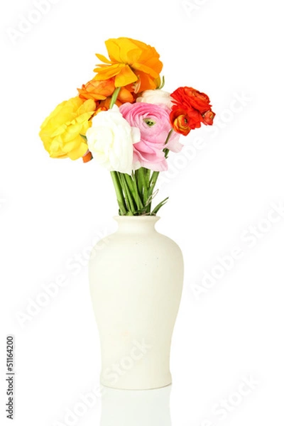 Fototapeta Ranunculus (persian buttercups) in vase, isolated on white