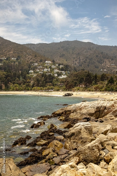 Obraz mountain river in the summer